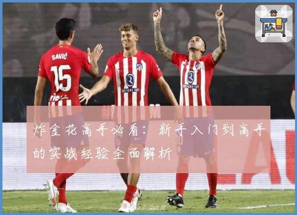 炸金花高手必看：新手入门到高手的实战经验全面解析