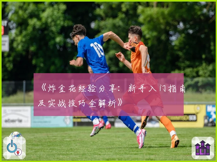 《炸金花经验分享:新手入门指南及实战技巧全解析》