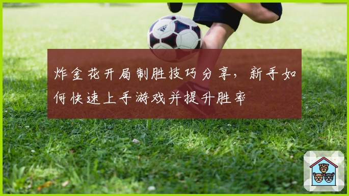 炸金花开局制胜技巧分享,新手如何快速上手游戏并提升胜率