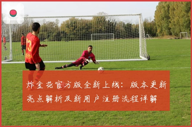 炸金花官方版全新上线：版本更新亮点解析及新用户注册流程详解