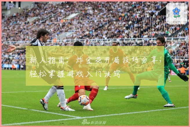 新人指南:炸金花开局技巧分享,轻松掌握游戏入门诀窍