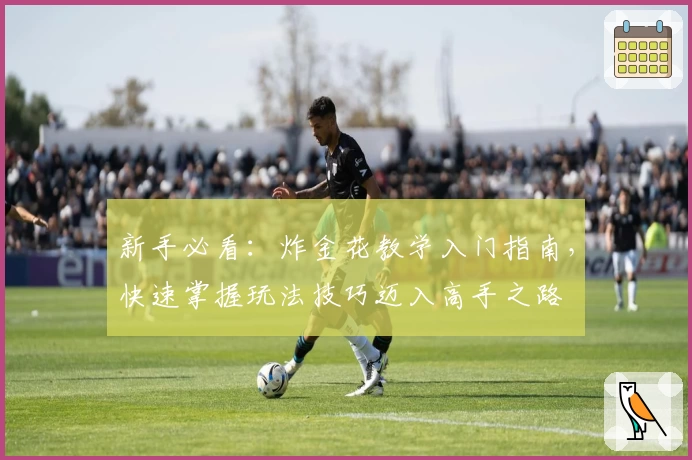 新手必看：炸金花教学入门指南，快速掌握玩法技巧迈入高手之路