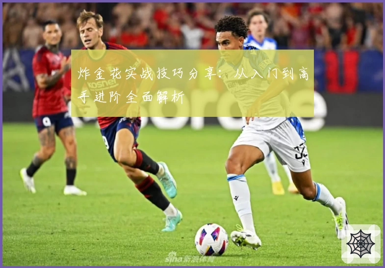 炸金花实战技巧分享：从入门到高手进阶全面解析