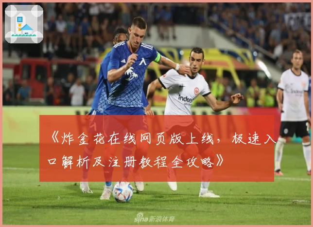 《炸金花在线网页版上线,极速入口解析及注册教程全攻略》