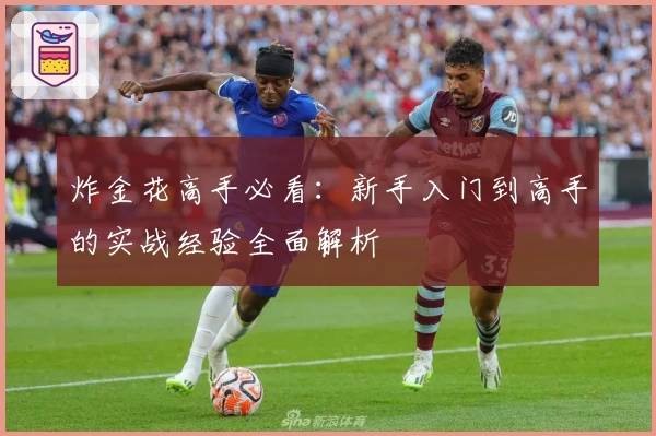 炸金花高手必看：新手入门到高手的实战经验全面解析